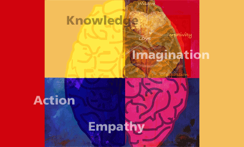 whole brain creativity