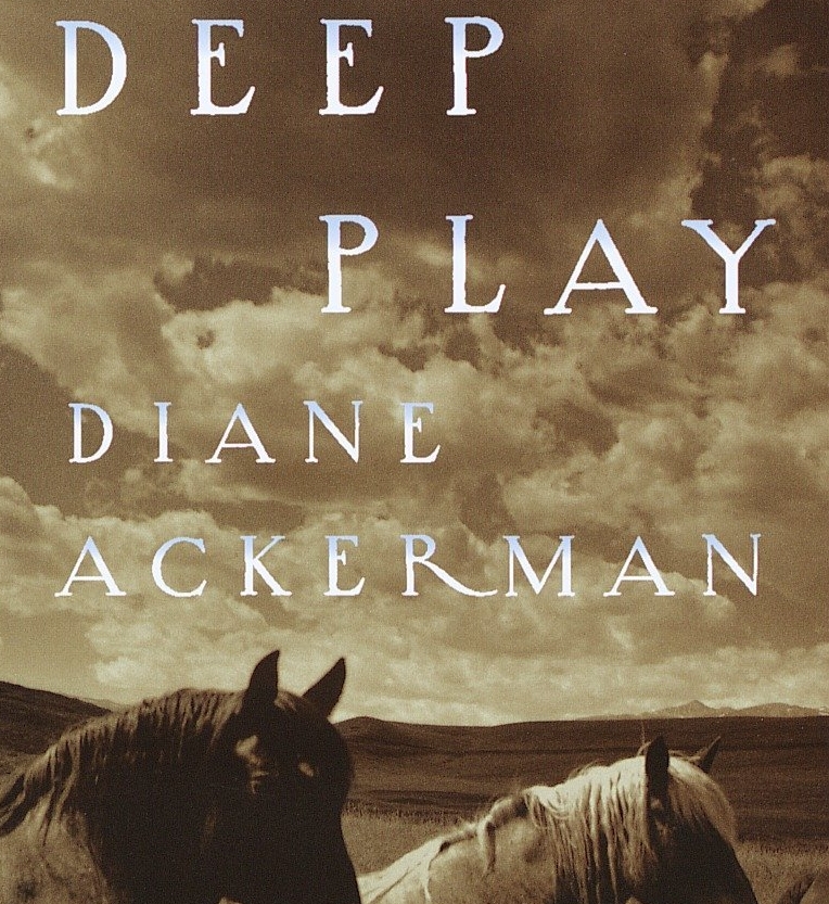 The Value of Deep Play and its Impact on Learning and the Imagination